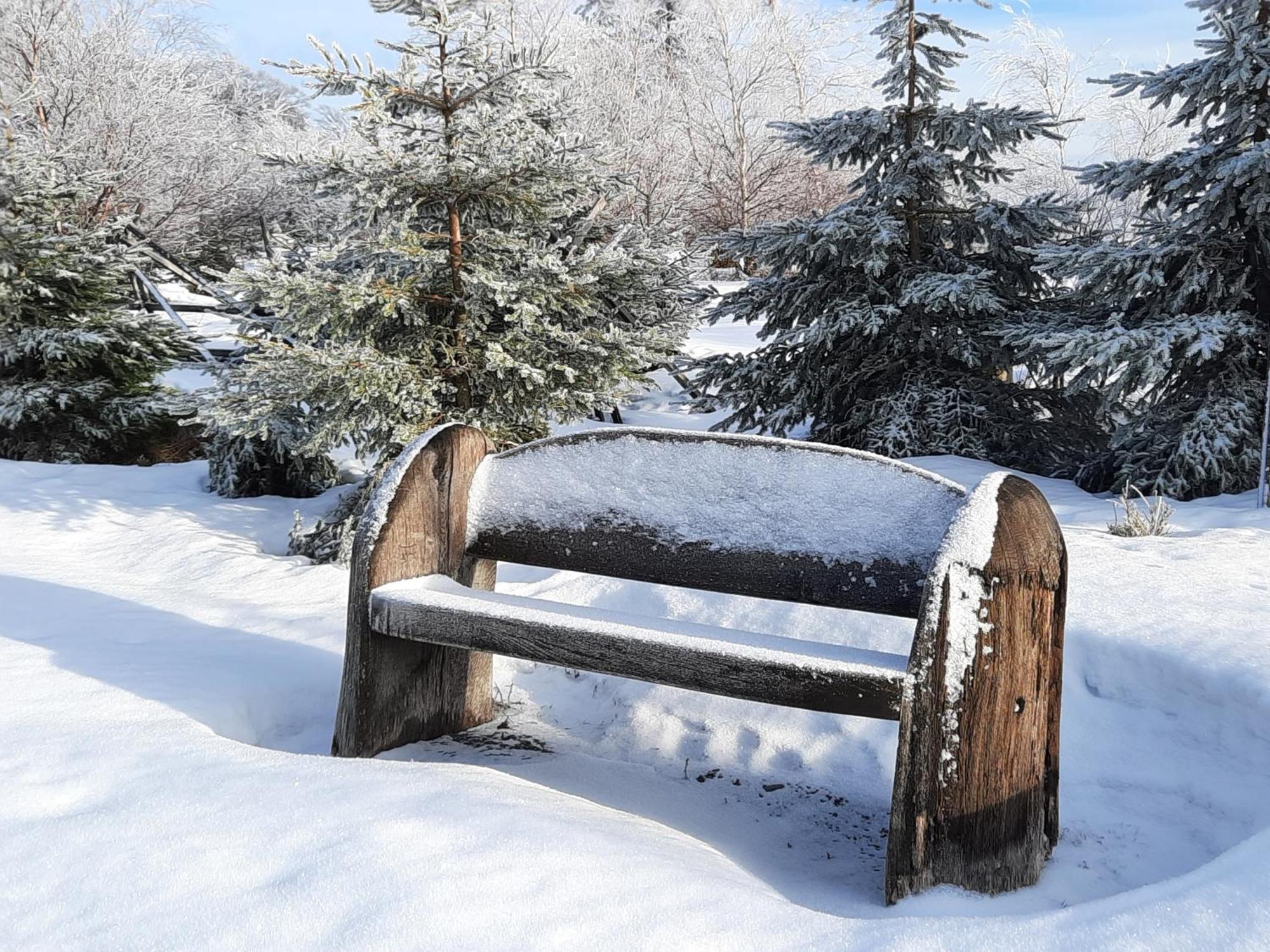 Cafe- Pension Fernblick, Incl Meinecardplus Віллінген Екстер'єр фото